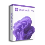 Microsoft Windows 11 Professional
