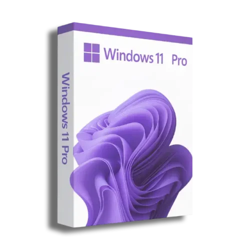 Microsoft Windows 11 Professional